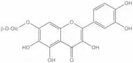 Quercetagitrin