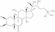 Turkesterone