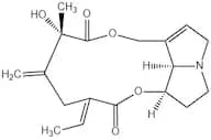 Spartioidine