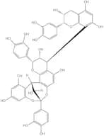 Cinnamtannin b1