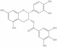(-)-epicatechin 3-gallate