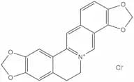 Coptisin chloride