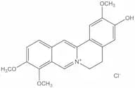 Jatrorrhizine chloride