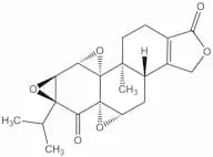 Triptonide