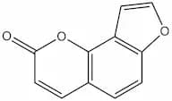 Angelicin