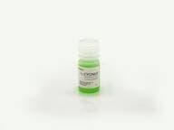 Anti-Insulin:Alkaline Phosphatase Conjugate
