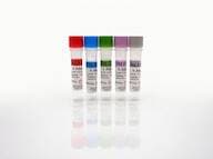 HSA Standards Set, A-E