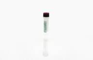 HEK 293 HCP Control Antigen