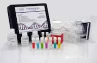 Human Host Cell DNA Detection Kit in Tubes