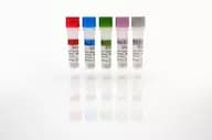 BSA Standards Set, A-E