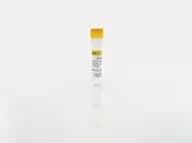 Insulin Standard G
