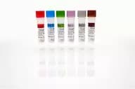 Goat IgG Standards Set, A-F