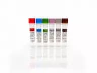 E. coli HCP Standards Set, A-F