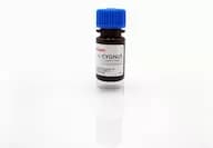 Anti-PER.C6®:HRP Conjugate