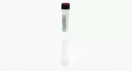 Pichia pastoris Antigen Concentrate for Cat # F640