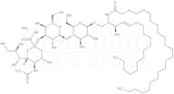 GM3-Ganglioside