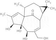 Ingenol