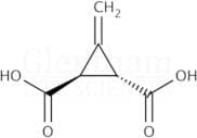 3-Methylenecyclopropane-trans-1,2-dicarboxylic acid (Feist''s acid)