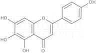 Scutellarein