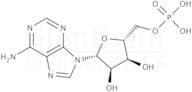 Adenosine 5''-monophosphate