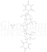 Uricase