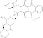 Pirarubicin