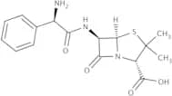Ampicillin, anhydrous