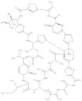 Thiostrepton