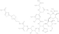Phleomycin