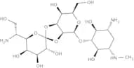 Hygromycin B
