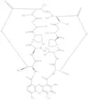 Actinomycin D, GlenCell™, suitable for cell culture, USP grade