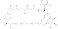 Amphotericin B