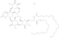 GA1-Ganglioside