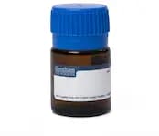 Dextran sulfate sodium salt, MW approx. 8,000
