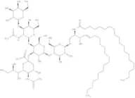 GM1-Ganglioside