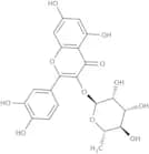 Quercetin 3-a-L-rhamnoside