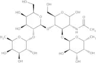 Lewis Y tetrasaccharide