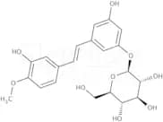Rhapontin