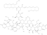 GT1b-Ganglioside