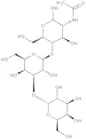 Linear B trisaccharide