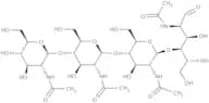 N,N'',N'''',N''''''-Tetraacetyl chitotetraose
