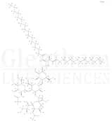 GM2-Ganglioside