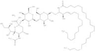 GM3-Ganglioside