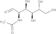 N-Acetyl-D-glucosamine