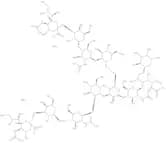 A2F N-Glycan