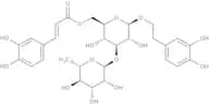 Isoacteoside