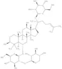 Notoginsenoside R1