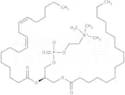 Sunflower lecithin, liquid