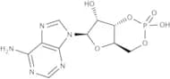 Adenosine 3''-,5''-cyclic monophosphate