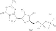 Guanosine 5''-diphosphate disodium salt